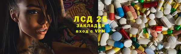 индика Арсеньев