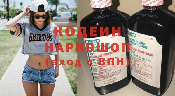 индика Арсеньев