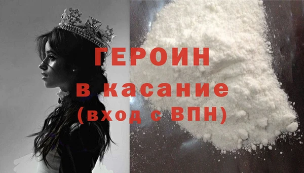 индика Арсеньев