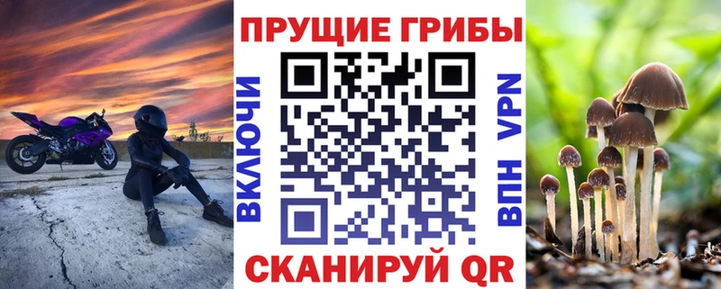 Галлюциногенные грибы мицелий  Купить закладки  Славск 